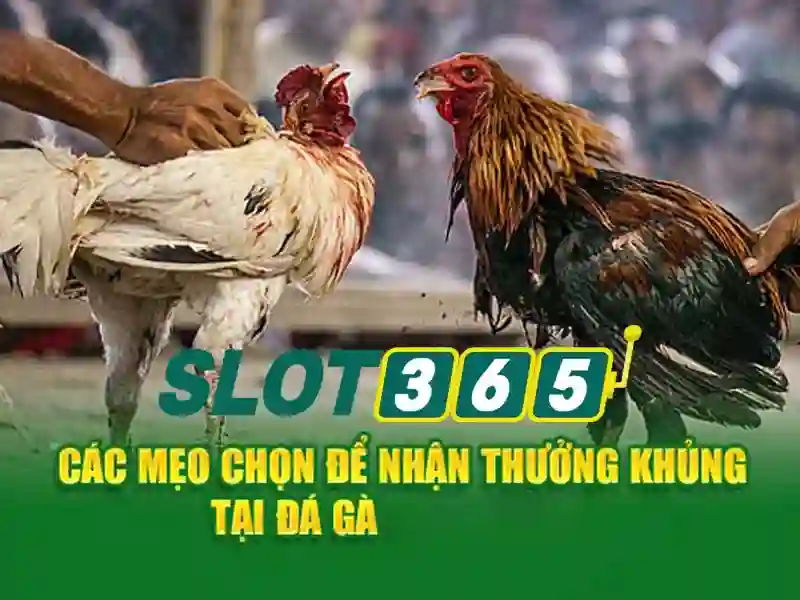 slot365 tải app ios – Trải nghiệm Slot365 và game bài