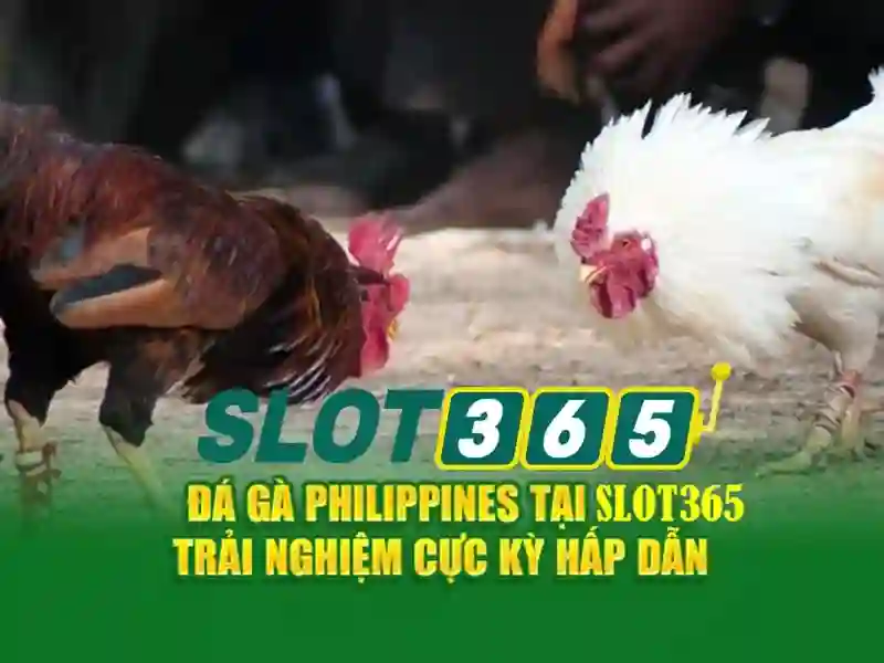 raja slot365 – Trải nghiệm slot game Slot365