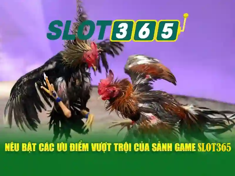 Slot365 - Trải nghiệm casino trực tuyến tại Việt Nam