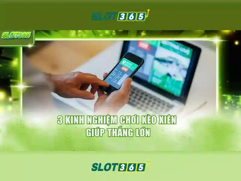 app slot365 – tổng quan, trải nghiệm và định hướng