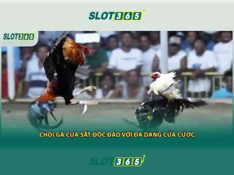 Slot365: Trải nghiệm máy xèng trực tuyến đỉnh cao