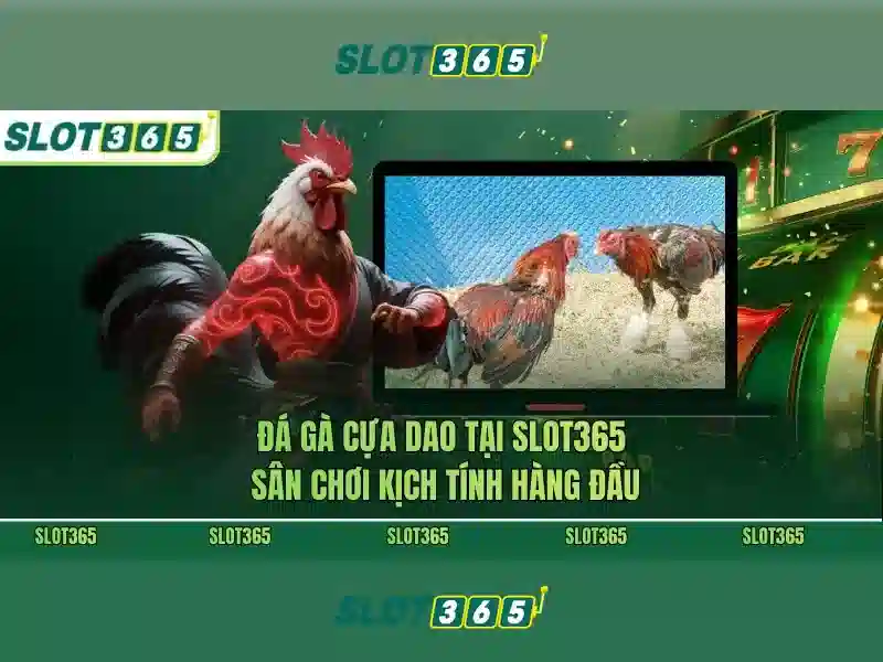 Slot365: Trải nghiệm chơi slot trực tuyến an toàn và tiện lợi