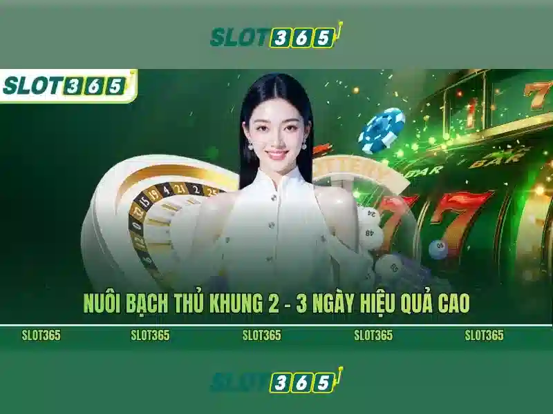 Slot365: Tổng quan về nền tảng đặt cược trực tuyến