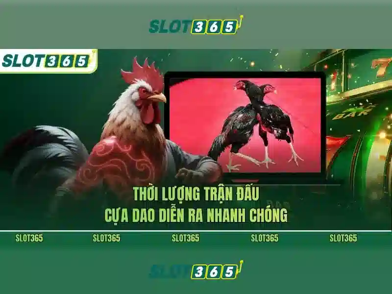 Slot365: Trò chơi Slots trực tuyến và trải nghiệm