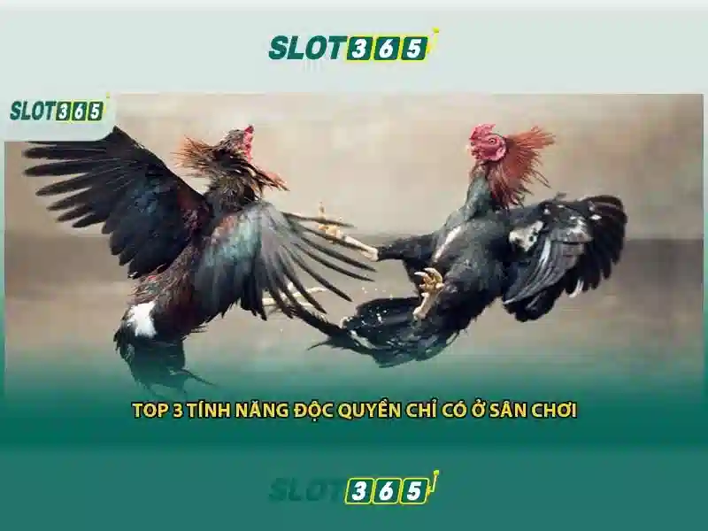 slot365 pulsa tanpa potongan – Trải nghiệm đỉnh cao giải trí