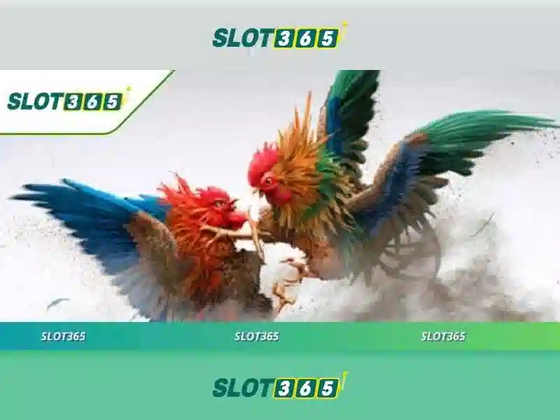 Slot365: Nền tảng trò chơi slot trực tuyến uy tín