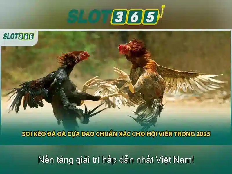Slot365 - Trải nghiệm chơi máy đánh bạc trực tuyến đỉnh cao