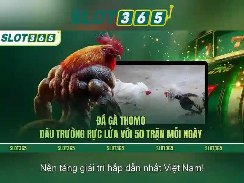slot365 – Trải nghiệm chơi slot đỉnh cao