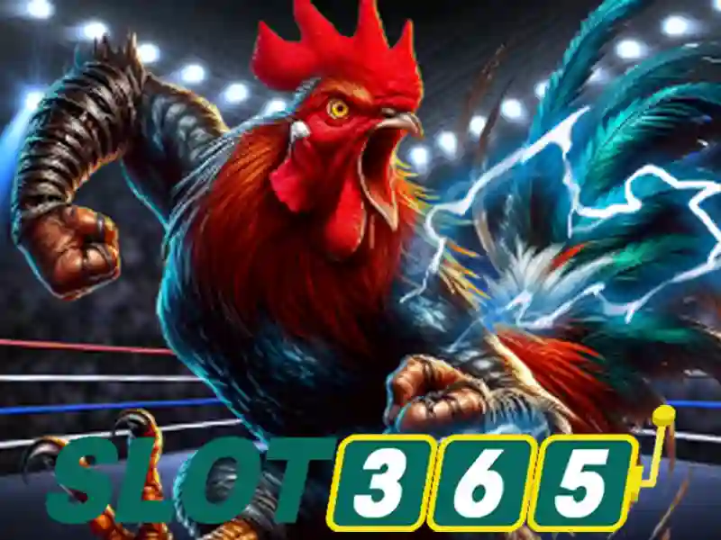 khuyến mãi Slot365 - Trải nghiệm Slot365 đỉnh cao